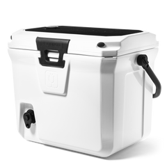 Br Tank 20-Quart Easy-Carry Cooler